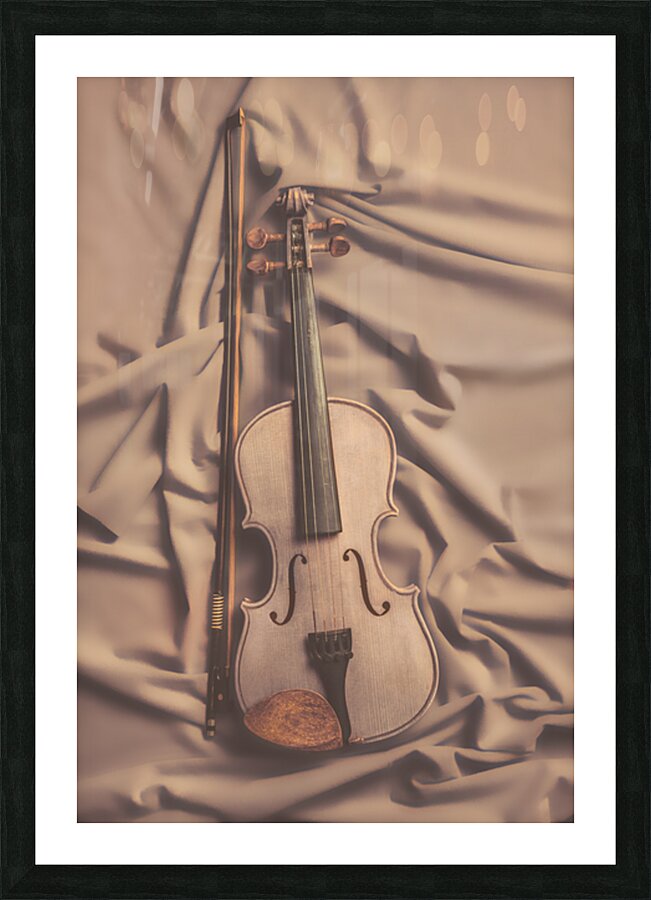 Velvet Violin Picture Frame print