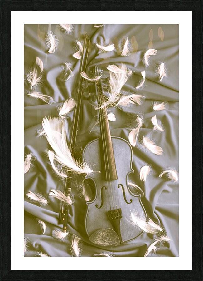 Feather n Fiddle Picture Frame print