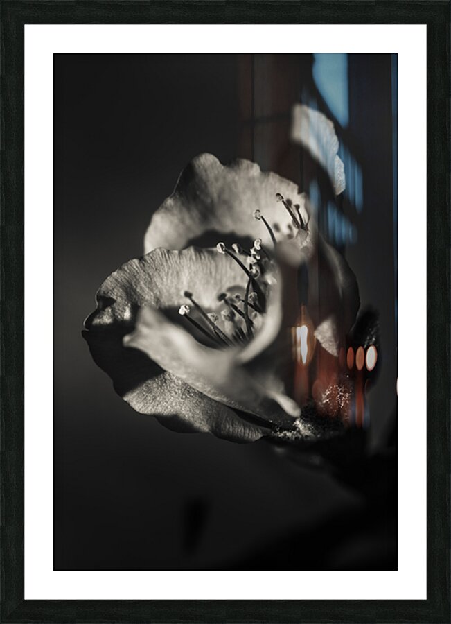 Beauty And Atmosphere Picture Frame print