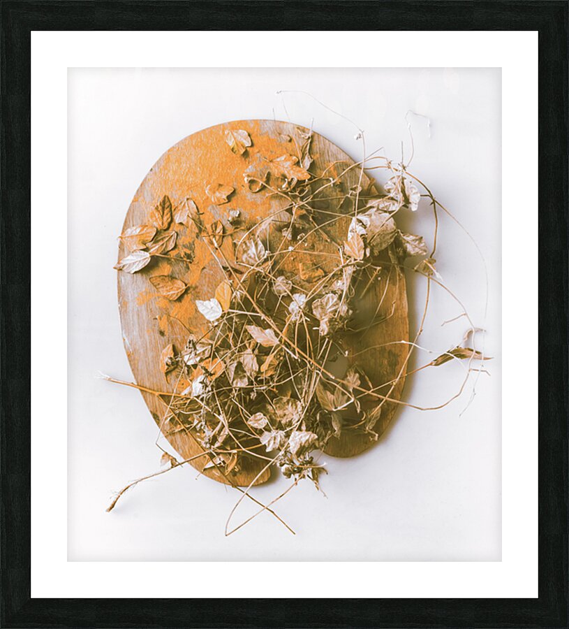 Autumns Palette Picture Frame print