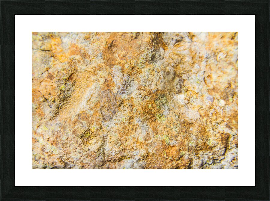 Flecks And Specks Picture Frame print