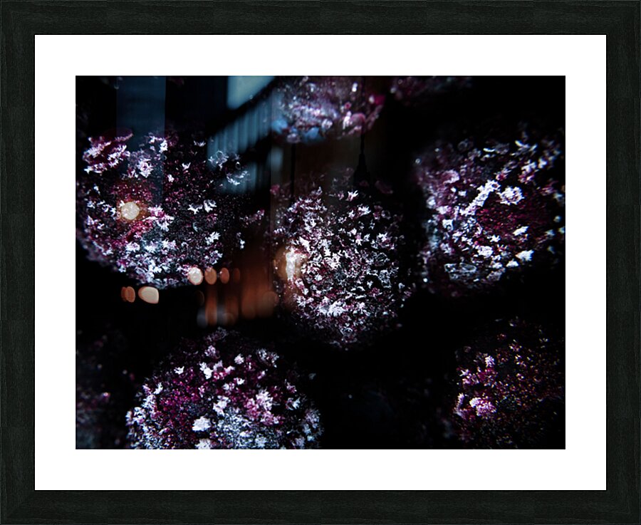 Deep Freeze Picture Frame print