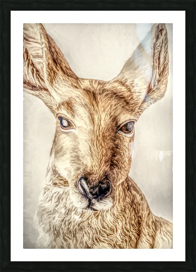 Country Lookout Picture Frame print