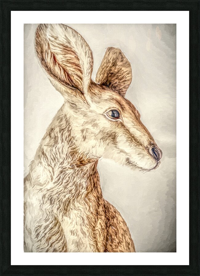 Golden Kangaroo Picture Frame print