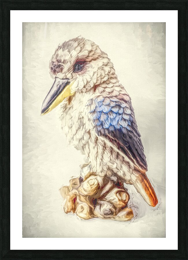 Kookaburra Perch Picture Frame print