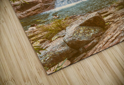 Bushland oasis Jorgo puzzle