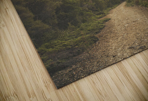 Vintage Australian landscape. Rosebery Tasmania Jorgo puzzle