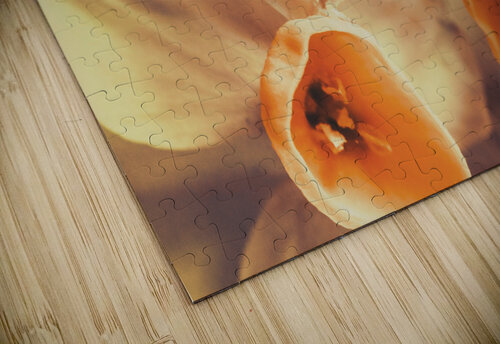 Toned vintage spring daffodils Jorgo puzzle