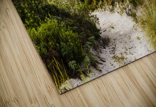 Sand dune path leading to Tasmania beach landscape Jorgo puzzle