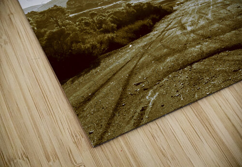 Dirt roads of outback Tasmania Jorgo puzzle