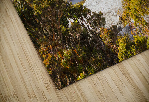 I can climb mountains Jorgo puzzle