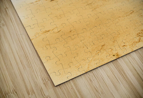 Summer surf scenes Jorgo puzzle