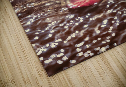 The fall and the light merger Jorgo puzzle