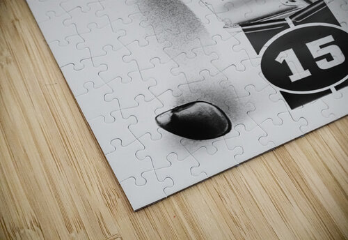 Racing Stripes Jorgo puzzle