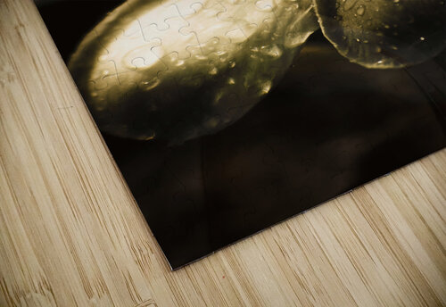 Organic makeup and skincare girl Jorgo puzzle