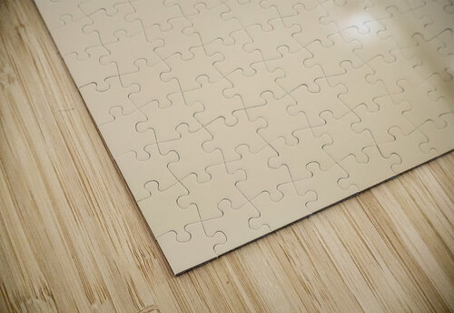 Soft pastel flower Jorgo puzzle