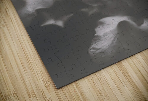 Ornate colourless weathered wild flowers Jorgo puzzle