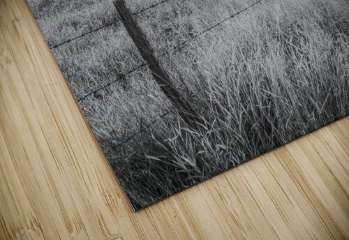 Hills and hollows  Jorgo puzzle