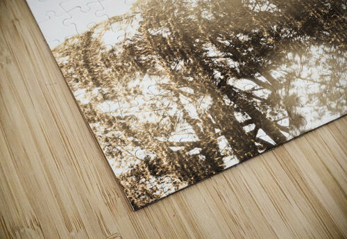 Finding spirit within Jorgo puzzle