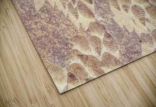 Spiral seaside Jorgo puzzle