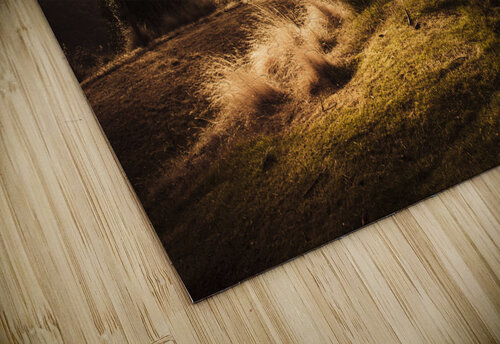 Peaceful vintage landscape of a rural meadow Jorgo puzzle