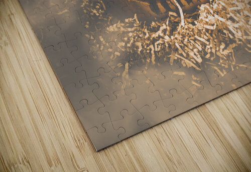 Rustic barn pumpkin head in horror fog Jorgo puzzle