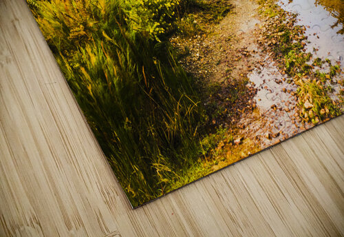 Puddles and outback tracks Jorgo puzzle