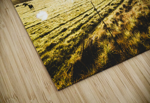 Australian rural dirt road  Jorgo puzzle