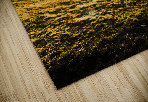 Sunburnt summer plain Jorgo puzzle