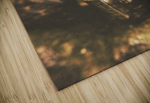 Forged in the crusades Jorgo puzzle