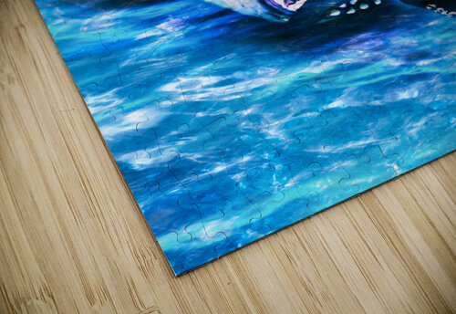 Shark bite Jorgo puzzle