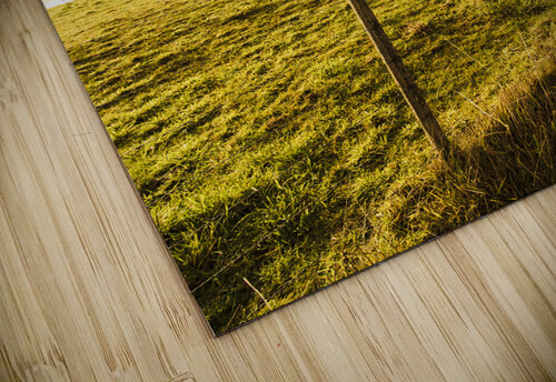 Ridgley hilltop Jorgo puzzle