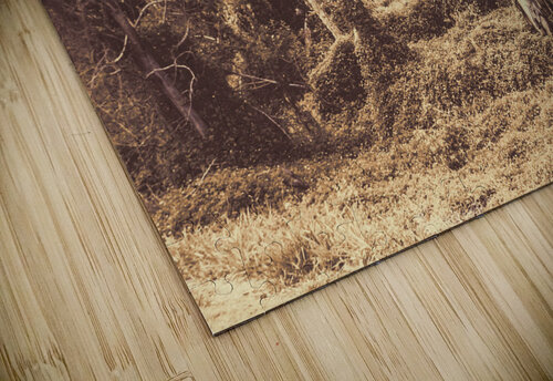 Wild ways Jorgo puzzle