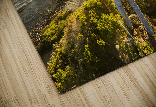 Trials and triumphs  Jorgo puzzle