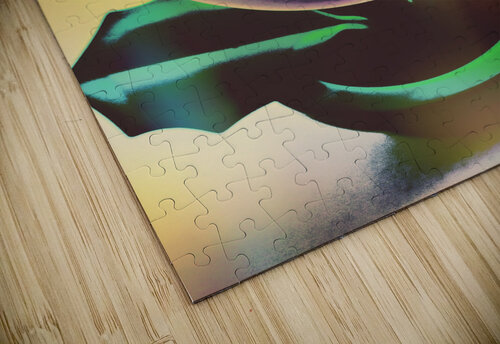 Bits and bites Jorgo puzzle