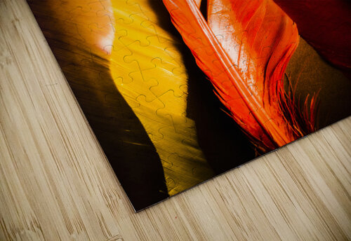 Colourful feather art Jorgo puzzle