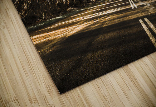 Twisted roads and dead trees Jorgo puzzle