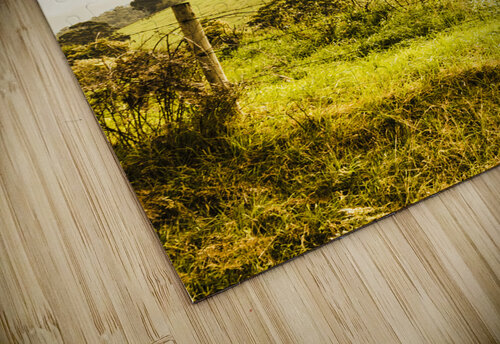 Lush green country farmland Jorgo puzzle