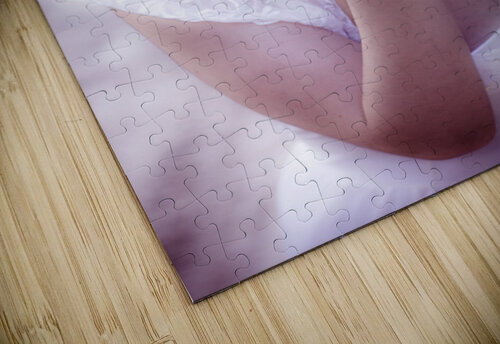 Enchanted Fairy Kisses Jorgo puzzle