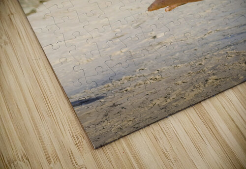 Celebreak Jorgo puzzle