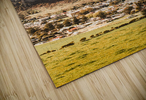 Coastal Tasmanian town Jorgo puzzle