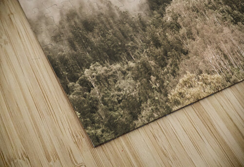 Elevated wonder Jorgo puzzle