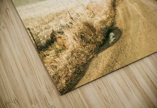 Winter road wonderland Jorgo puzzle