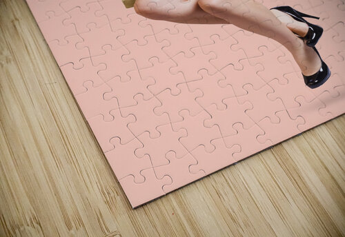 Beautiful fifties pin up girl smiling on swing Jorgo puzzle