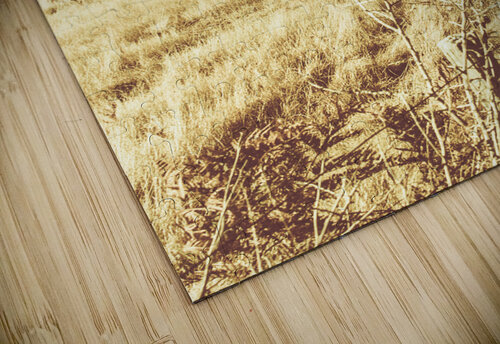 Rural farm ranch Jorgo puzzle