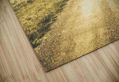 Empty curved gravel road in Tasmania Australia Jorgo puzzle