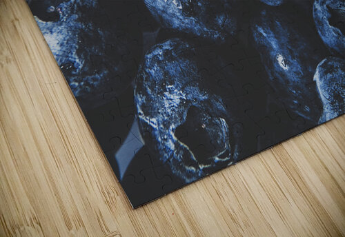 Blueberry batch Jorgo puzzle