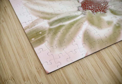 Chrysanthemum creativity Jorgo puzzle