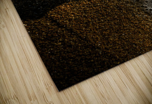 The tide and its takers Jorgo puzzle