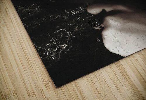 Woman with broken mirror and shattered reflection Jorgo puzzle